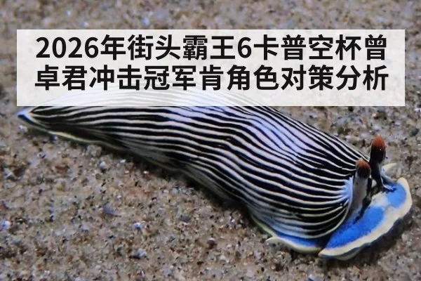 2026年街头霸王6卡普空杯曾卓君冲击冠军肯角色对策分析